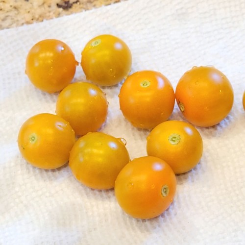 Organic Sunglow Tomato Seeds – Ultra Sweet Garden Tomatoes 