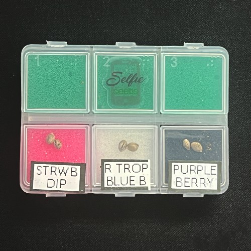 Grow with Me Bundle - Exclusive 6 Pack