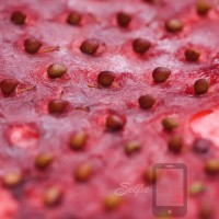 Nara Strawberry Lab Red Kotoka Selfie Seeds
