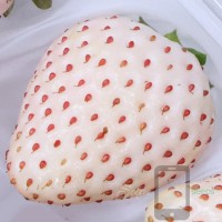 Nara Strawberry Lab Pearl White Selfie Seeds