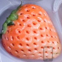 Nara Lab Pink Awayuki Japanese Strawberry Selfie Seeds