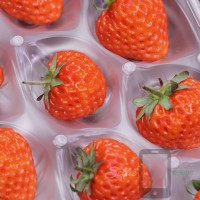 Omakase Oishii Pink Berry Japanese Strawberry Selfie Seeds