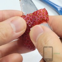 BERRY Red Benihoppe Japanese Strawberry Selfie Seeds