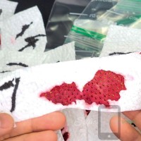 Kirameki Tochiotome Japanese Strawberry Selfie Seeds