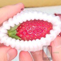 Kirameki Tochiotome Japanese Strawberry Selfie Seeds
