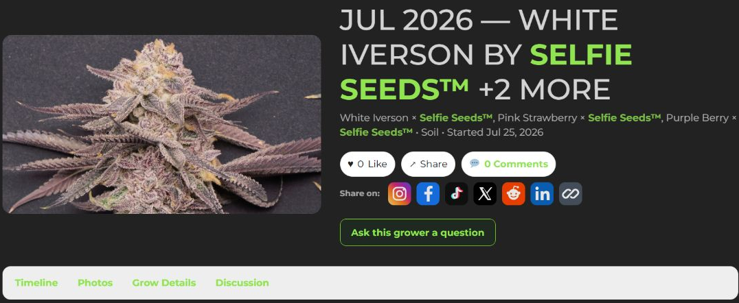 An actual public HWGrow journal showing its grow photo and sharing controls in dark mode